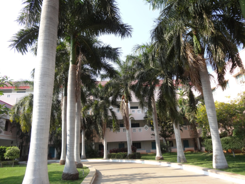DSC01170