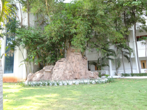 DSC01223