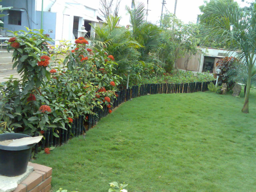Image004